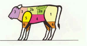 Fleischst�cke vom Kalb
